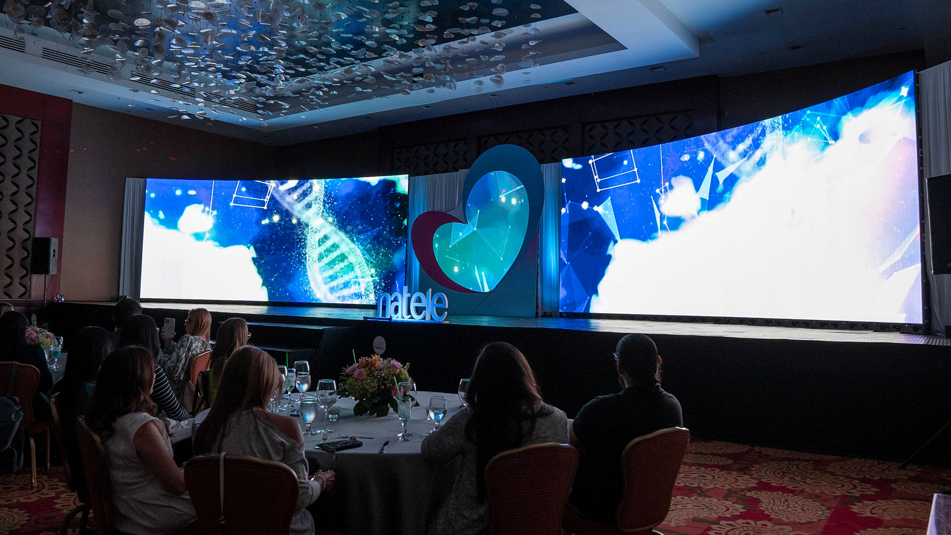 Evento Natele, Bayer